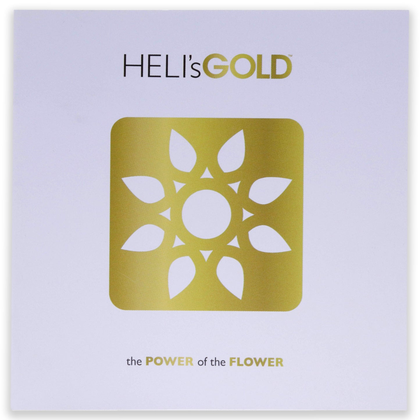 The Power Of The Flower Brochure - Small