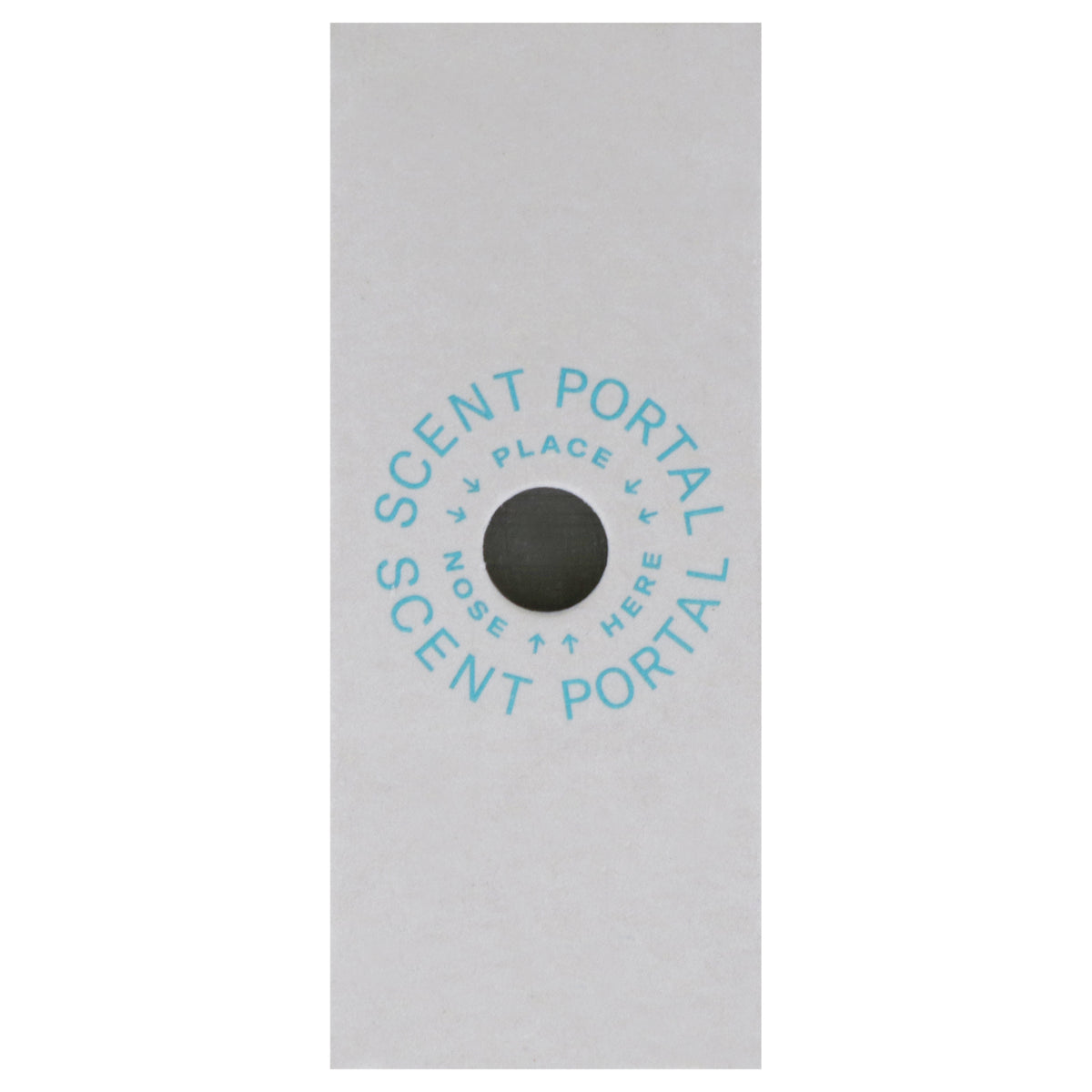 Body Bar Soap