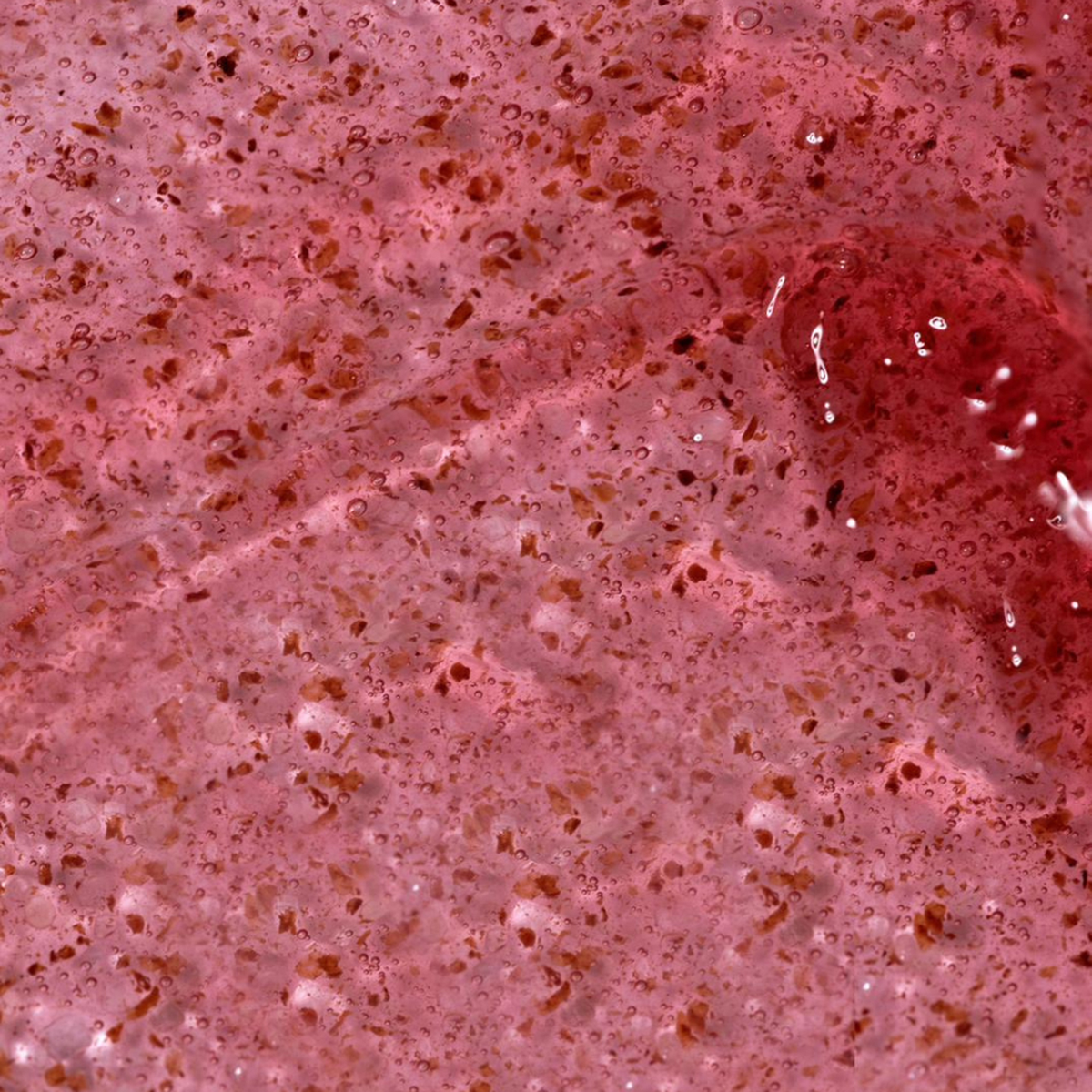 Gentle Lip Scrub Daylicious