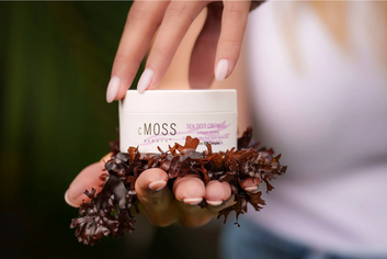 Sea Moss Sea Deep Cream Gel | cMOSS BEAUTY