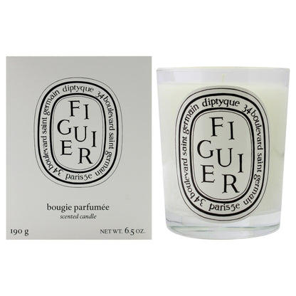 Figuier Scented Candle