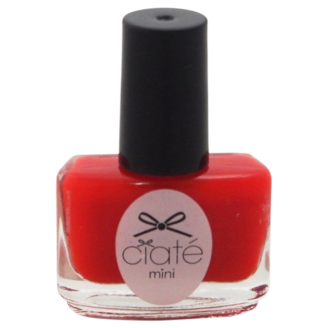 Mini Paint Pot Nail Polish and Effects - Mistress