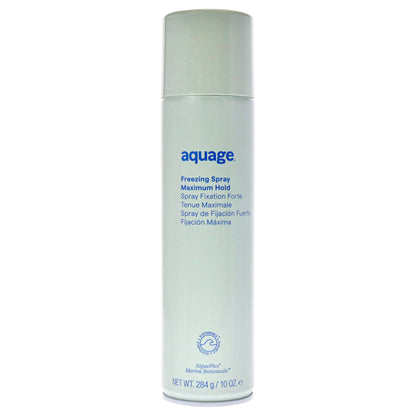 Freezing Spray - Maximum Hold