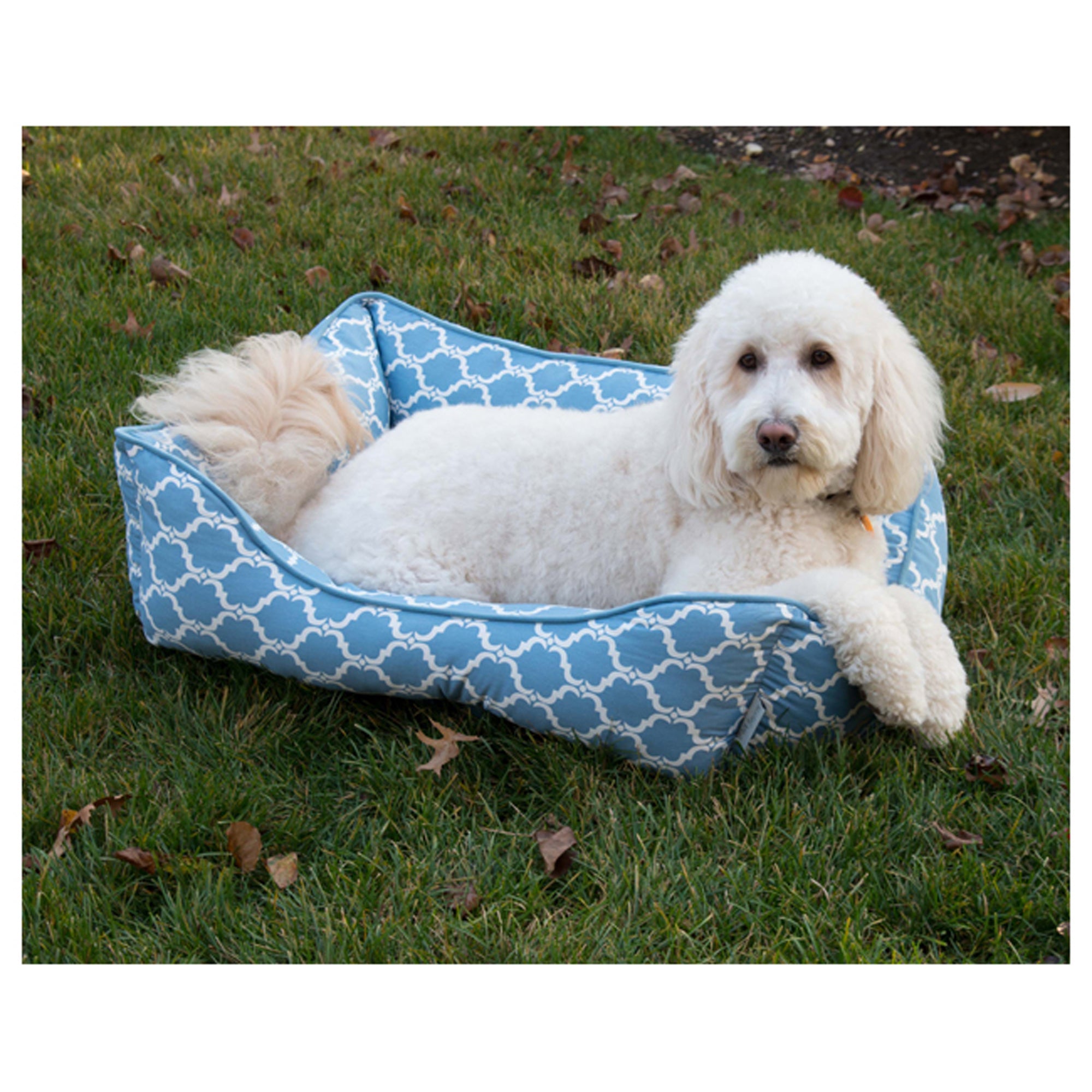 Quartre Foil Cuddler Pet Bed by Pet Maison for Unisex - 27 x 21 x 10 Inch Pet Bed