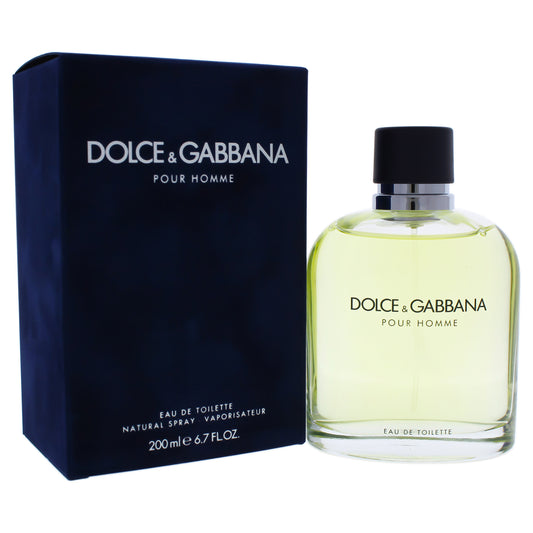 Dolce and Gabbana by Dolce and Gabbana for Men 6.7 oz EDT Spray