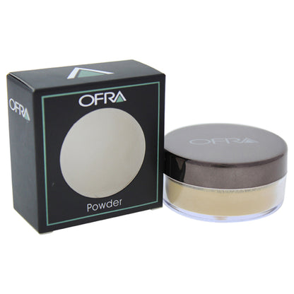 Translucent Highlighting Luxury Powder