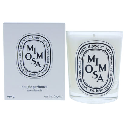 Mimosa Scented Candle