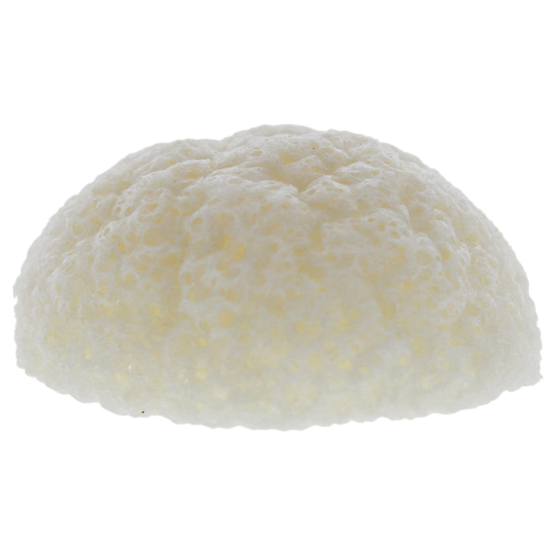 Natural Konjac Sponge