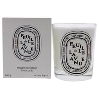 Feuille de Lavande Scented Candle