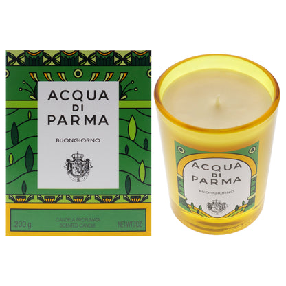 Buongiorno Scented Candle