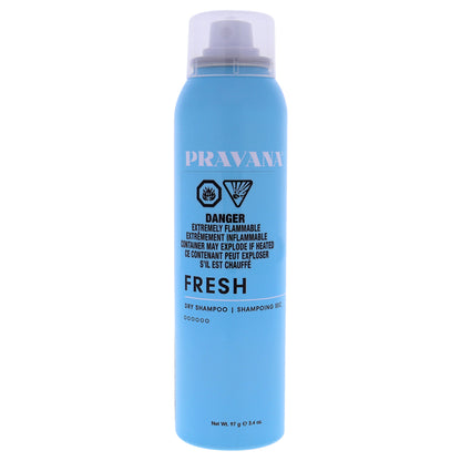 Fresh Dry Shampoo