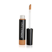 Dermablend Smooth Liquid Camo Concealer