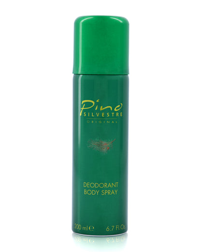 Pino Silvestre