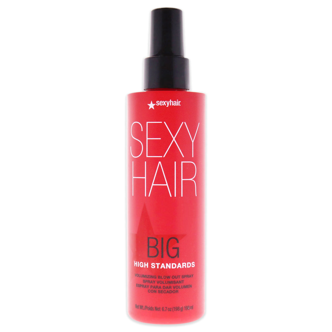 Big High Standards Volumizing Blow Out Spray