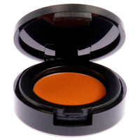 Correcting Concealer SPF 20 - 2 Deep