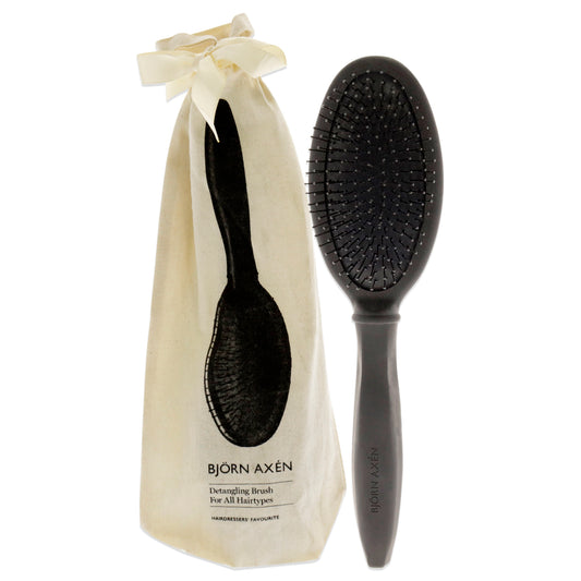 Detangling Brush by Bjorn Axen for Unisex - 1 Pc Hair Brush