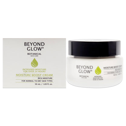 Moisture Boost Cream