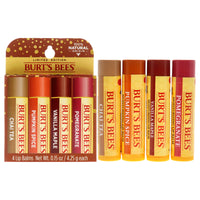 Fall Lip Balm Kit