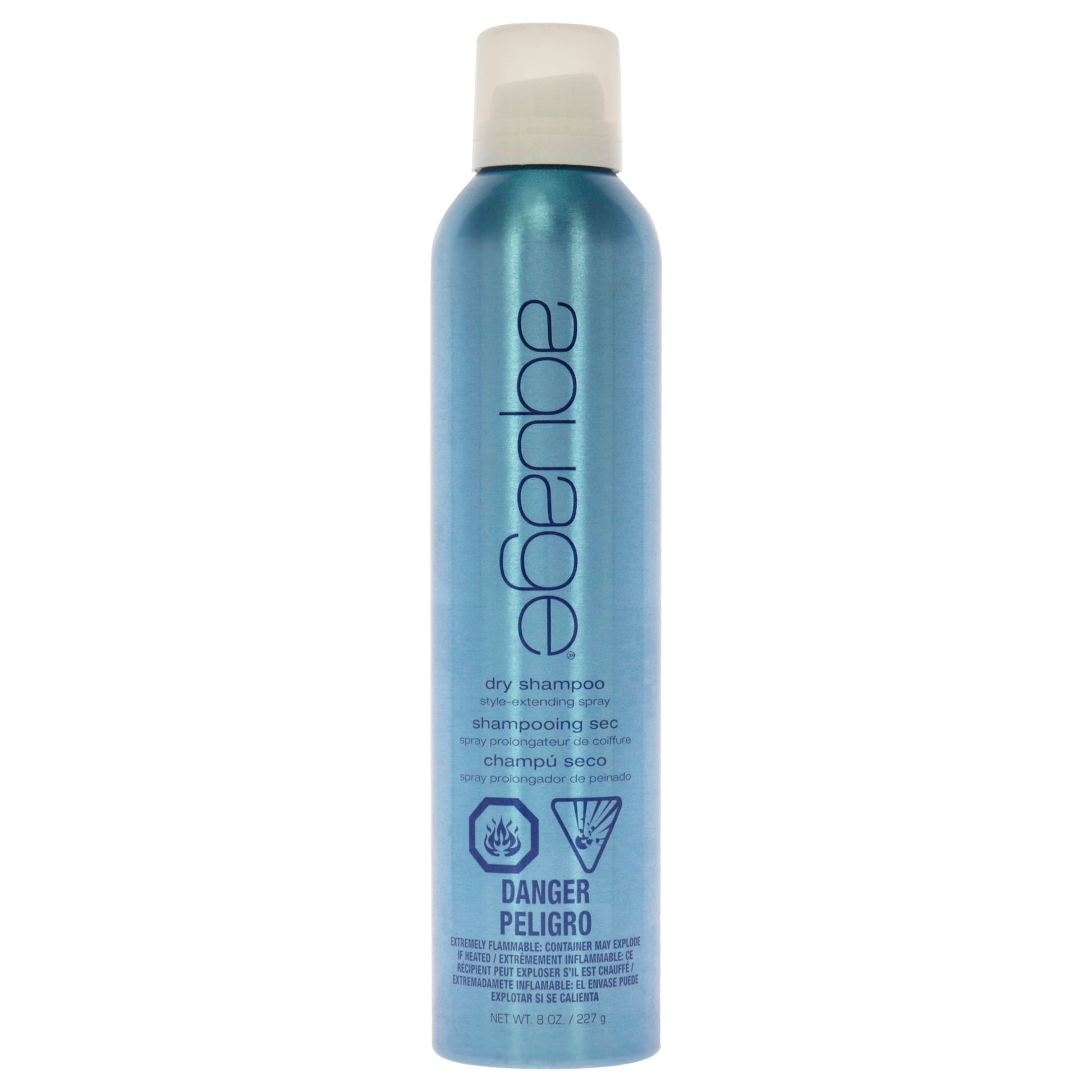 Dry Shampoo Style Extending Spray