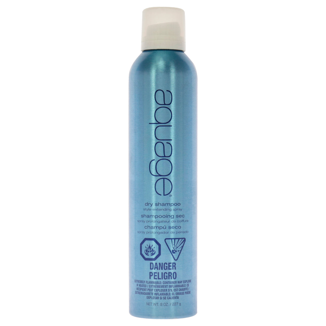Dry Shampoo Style Extending Spray