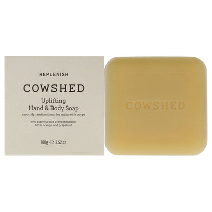 Replenish Uplifting Hand and Body Soap