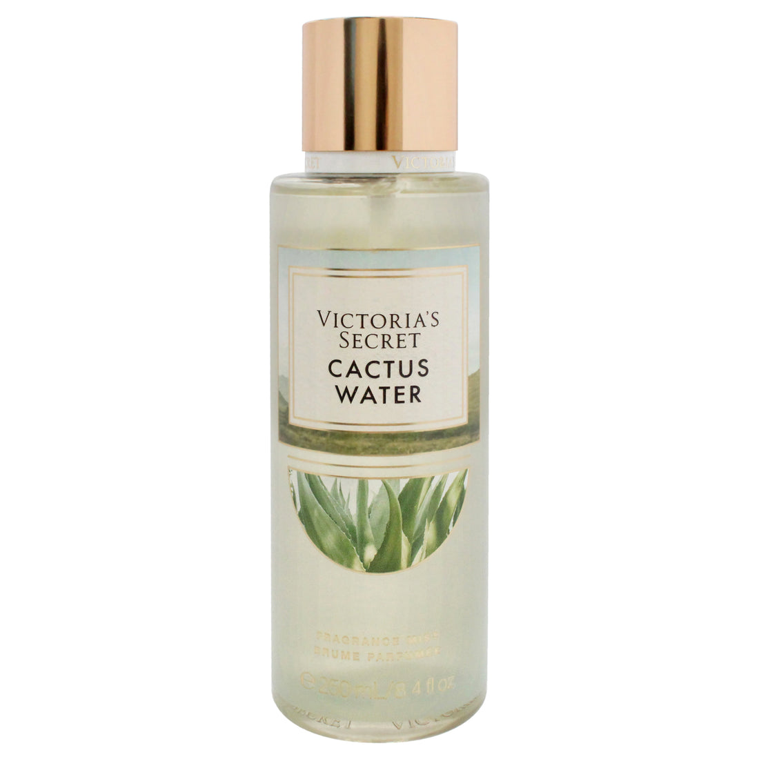 Cactus Water