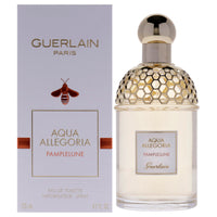 Aqua Allegoria Pamplelune