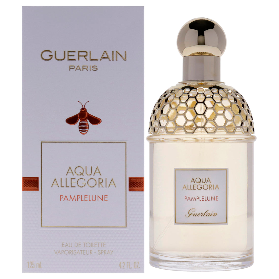 Aqua Allegoria Pamplelune