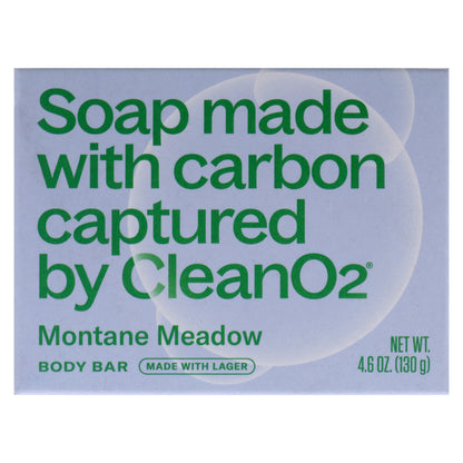 Body Bar Soap