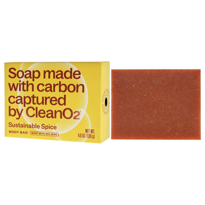 Body Bar Soap