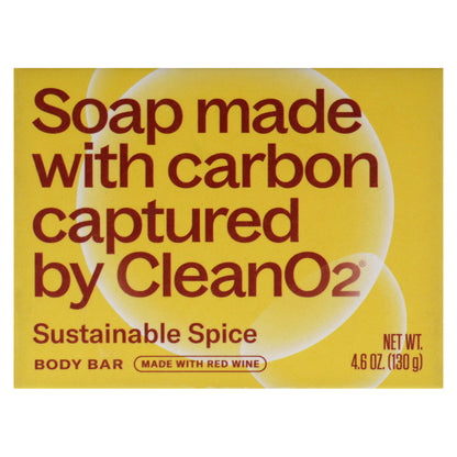 Body Bar Soap