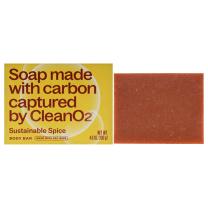 Body Bar Soap