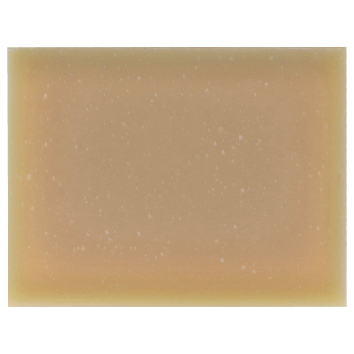 Body Bar Soap