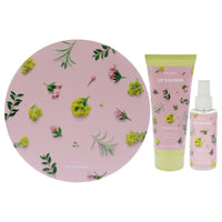 Lests Bloom Kit - Wildflowers