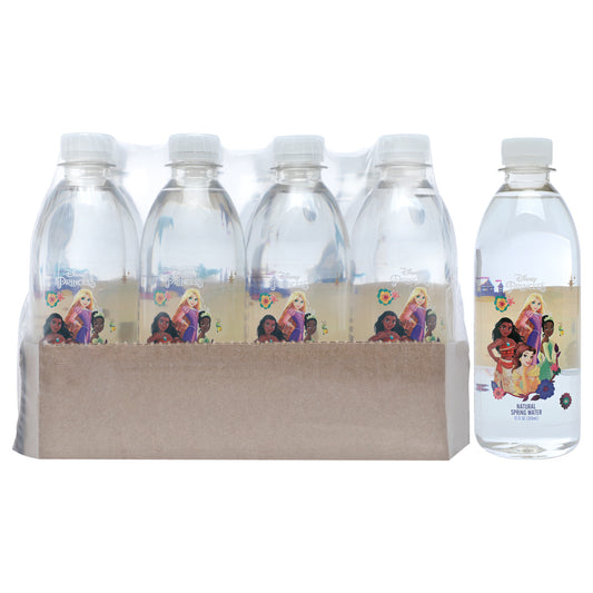Disney Princess Group Water Bottle - Pet Material