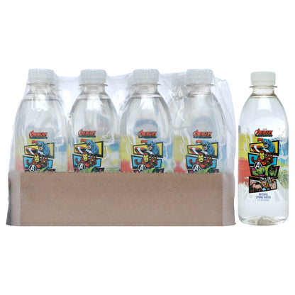 Marvel Avengers Marvel Avengers Water Bottle