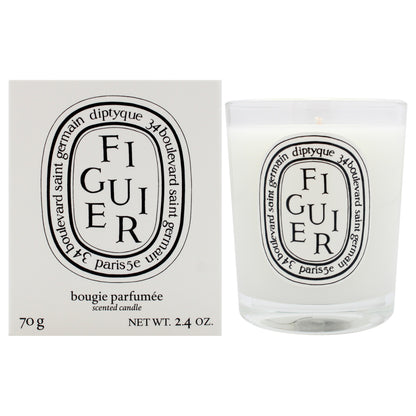 Figuier Scented Candle