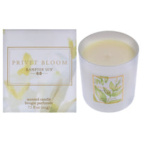 Privet Bloom Scented Candle