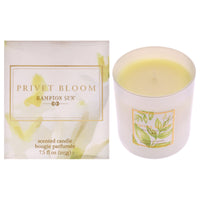 Privet Bloom Scented Candle