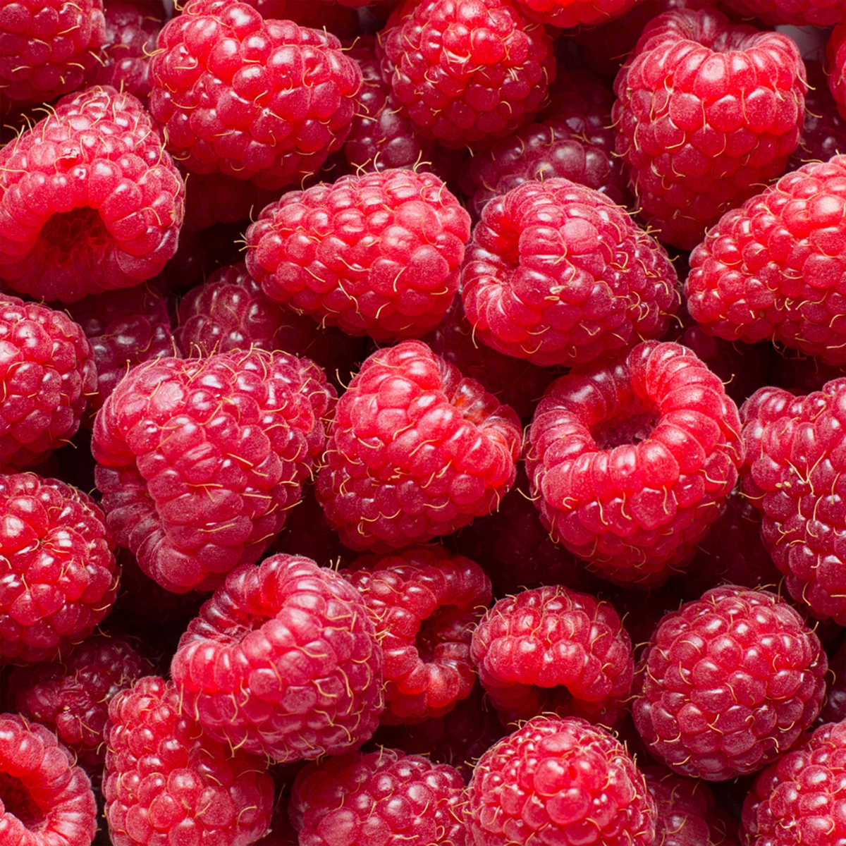 Gentle Lip Scrub Daylicious