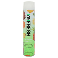 (re)FRESH Dry Shampoo
