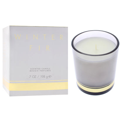 Winter Fir Scented Candle