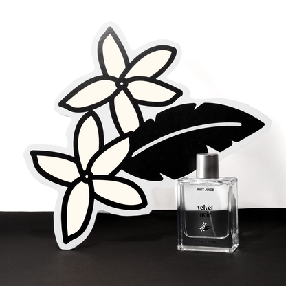Velvet Noir EDP Spray