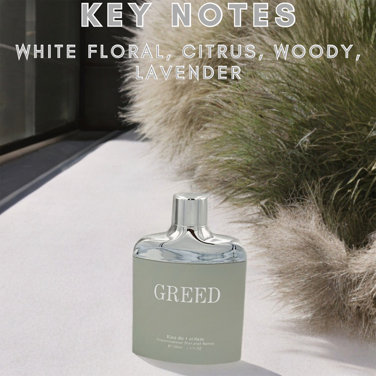 Greed Silver EDP Spray