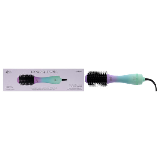 Blowdry Brush