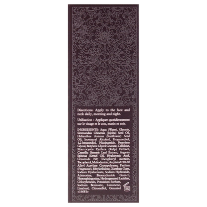 Black Tea Renewal Serum