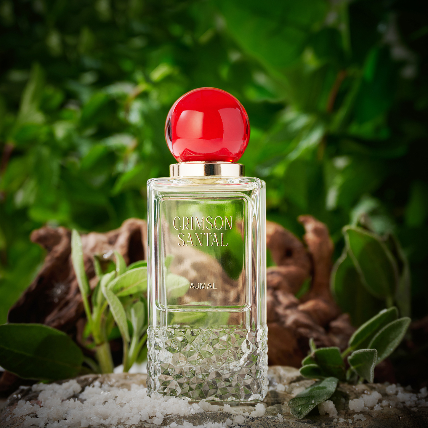 Boudoir Collection EDP Spray