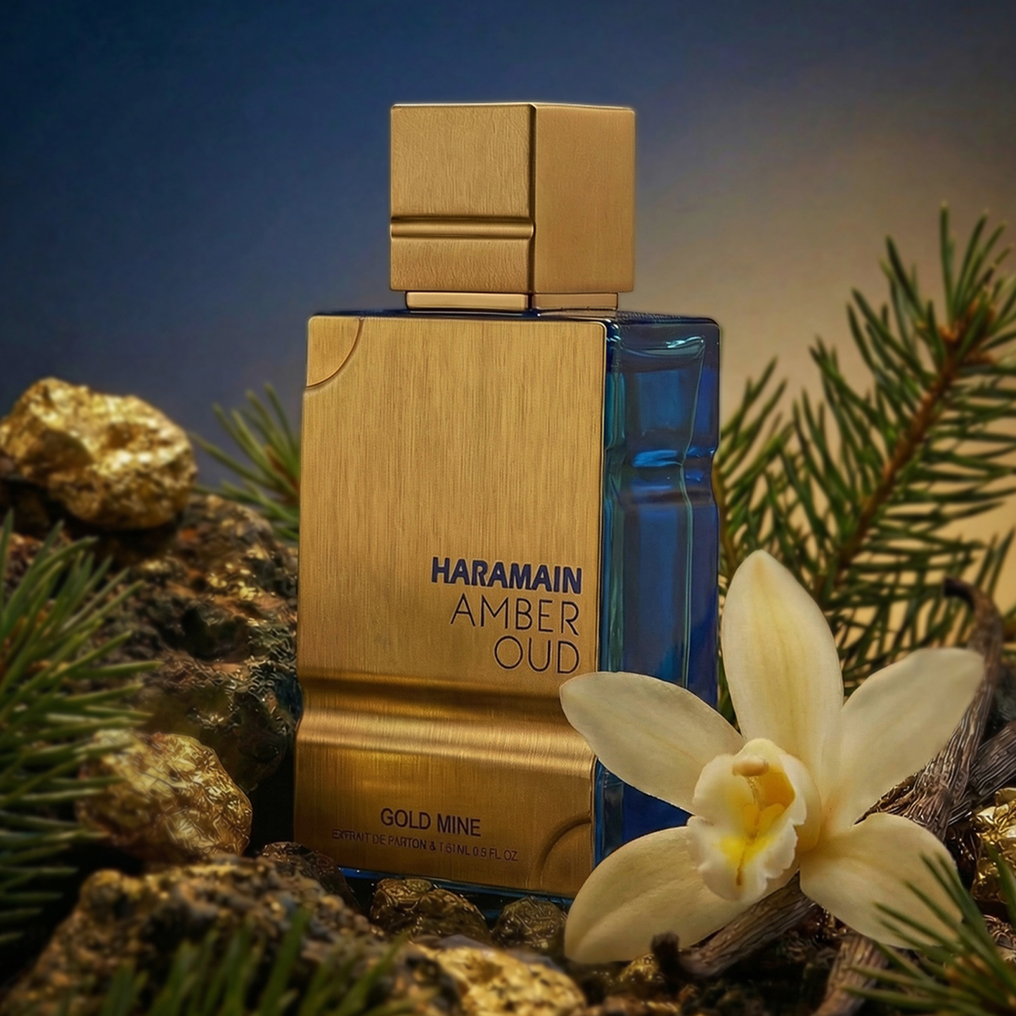 Amber Oud Extrait De Parfum Spray