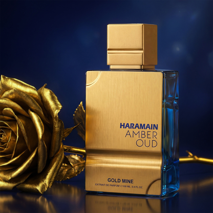Amber Oud Extrait De Parfum Spray