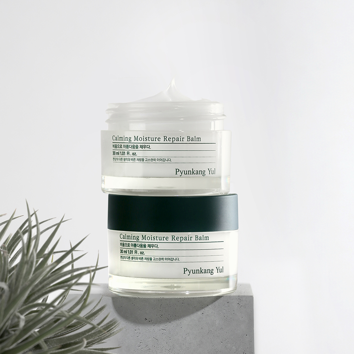Calming Moisture Repair Balm
